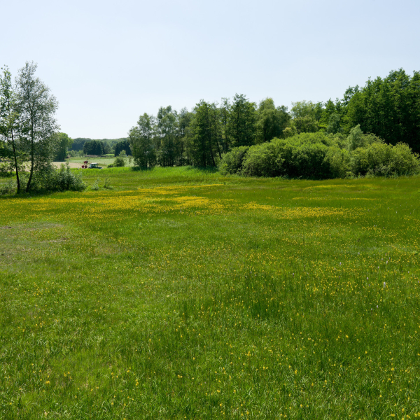 Brongebied Dal van de Mosbeek