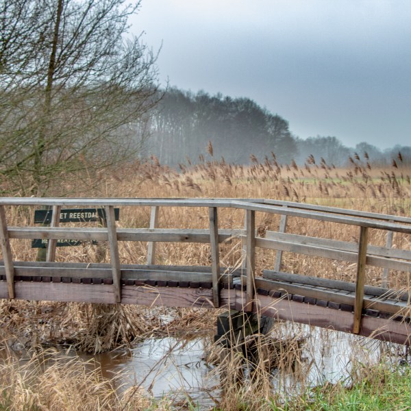 Bruggetje in het Reestdal