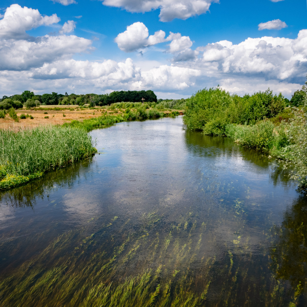 Regge Gonny Sleurink (2)