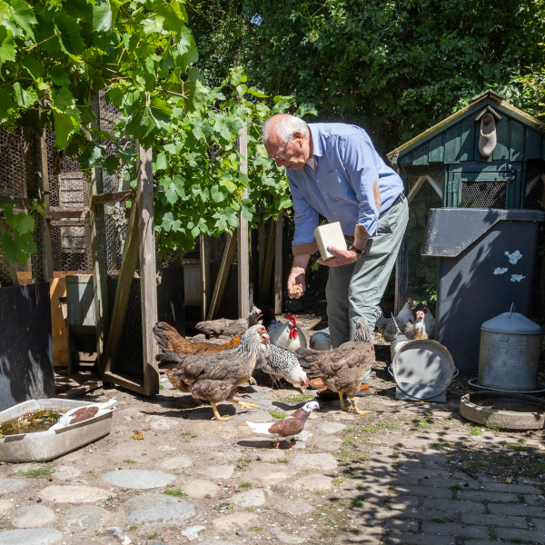 Ambassadeur Wim van der Linde
