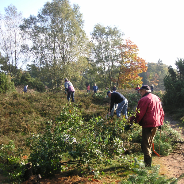 Natuurwerkgroep de Reest