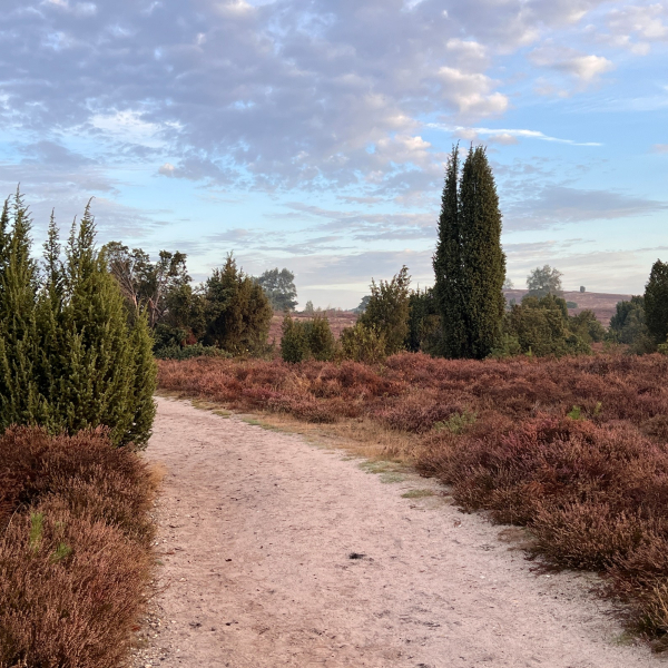 Wandelen op de Lemelerberg 