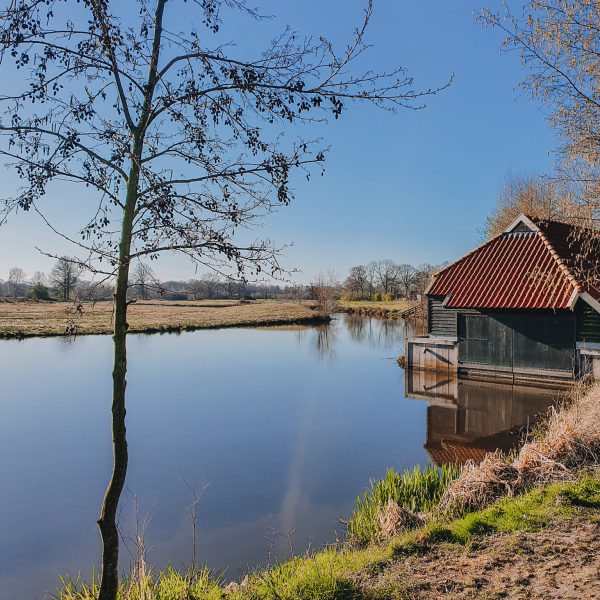 Regge Hellendoorn - Greetje Janssen (16)