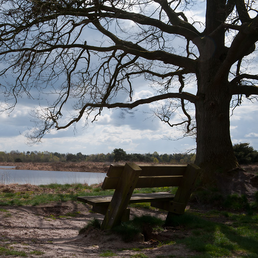bankje in de Bergvennen, Han Bouwmeester