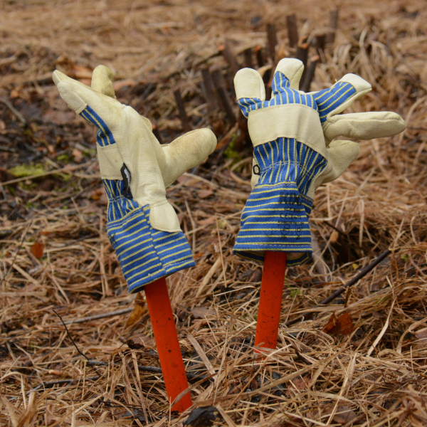 handschoenen, Nico Kloek