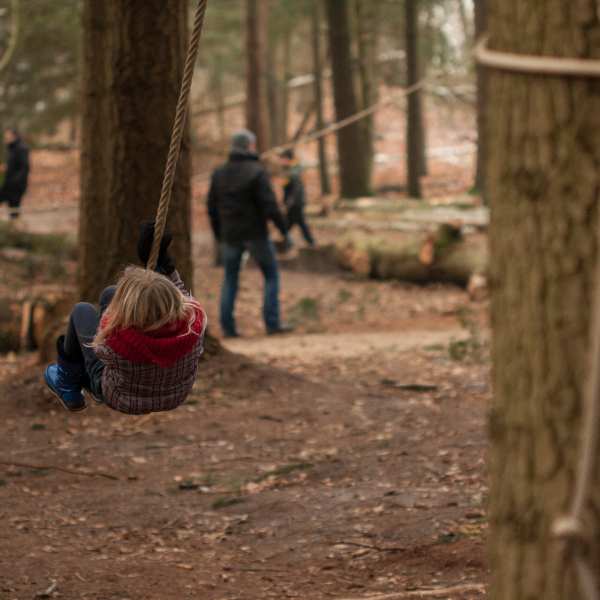 Speelbos - Willem Heijdeman